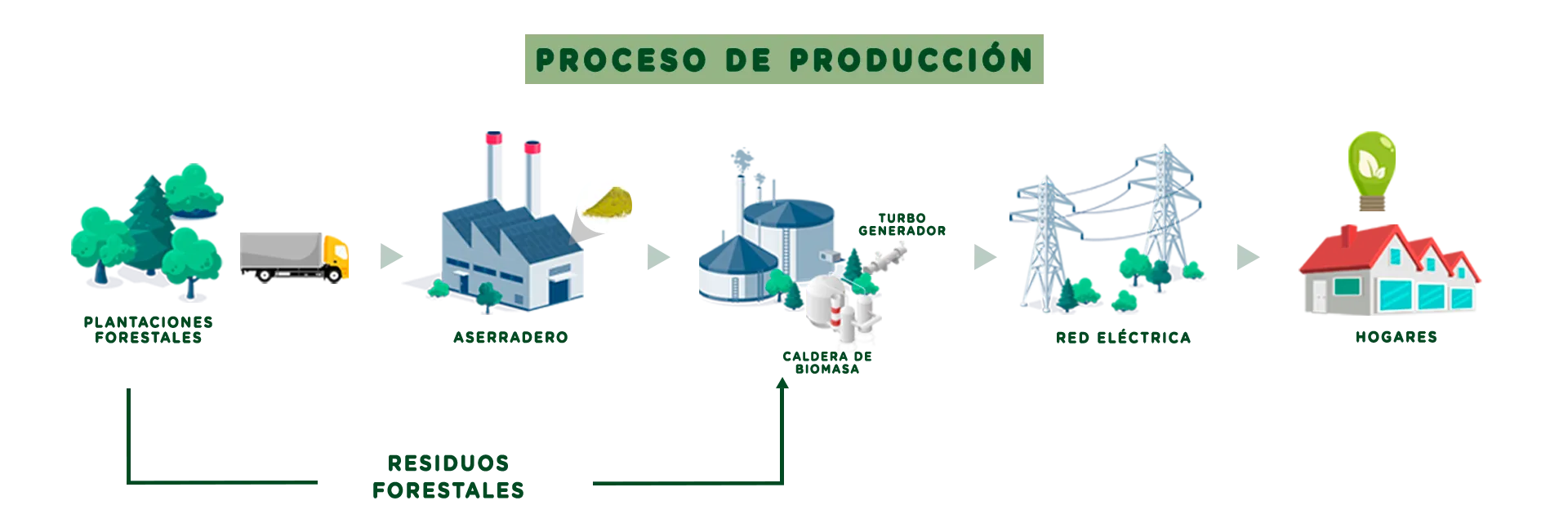 Diagrama del proceso de producción: de las plantaciones forestales al aserradero, de ahí los residuos forestales a la caldera de biomasa y el turbogenerador, luego a la red eléctrica y finalmente a los hogares